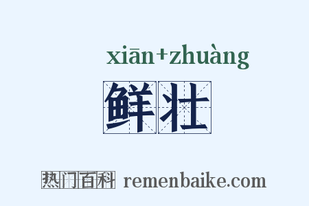 鲜壮是什么意思的图片